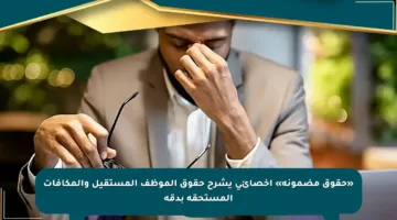 «حقوق مضمونة» أخصائي يشرح حقوق الموظف المستقيل والمكافآت المستحقة بدقة